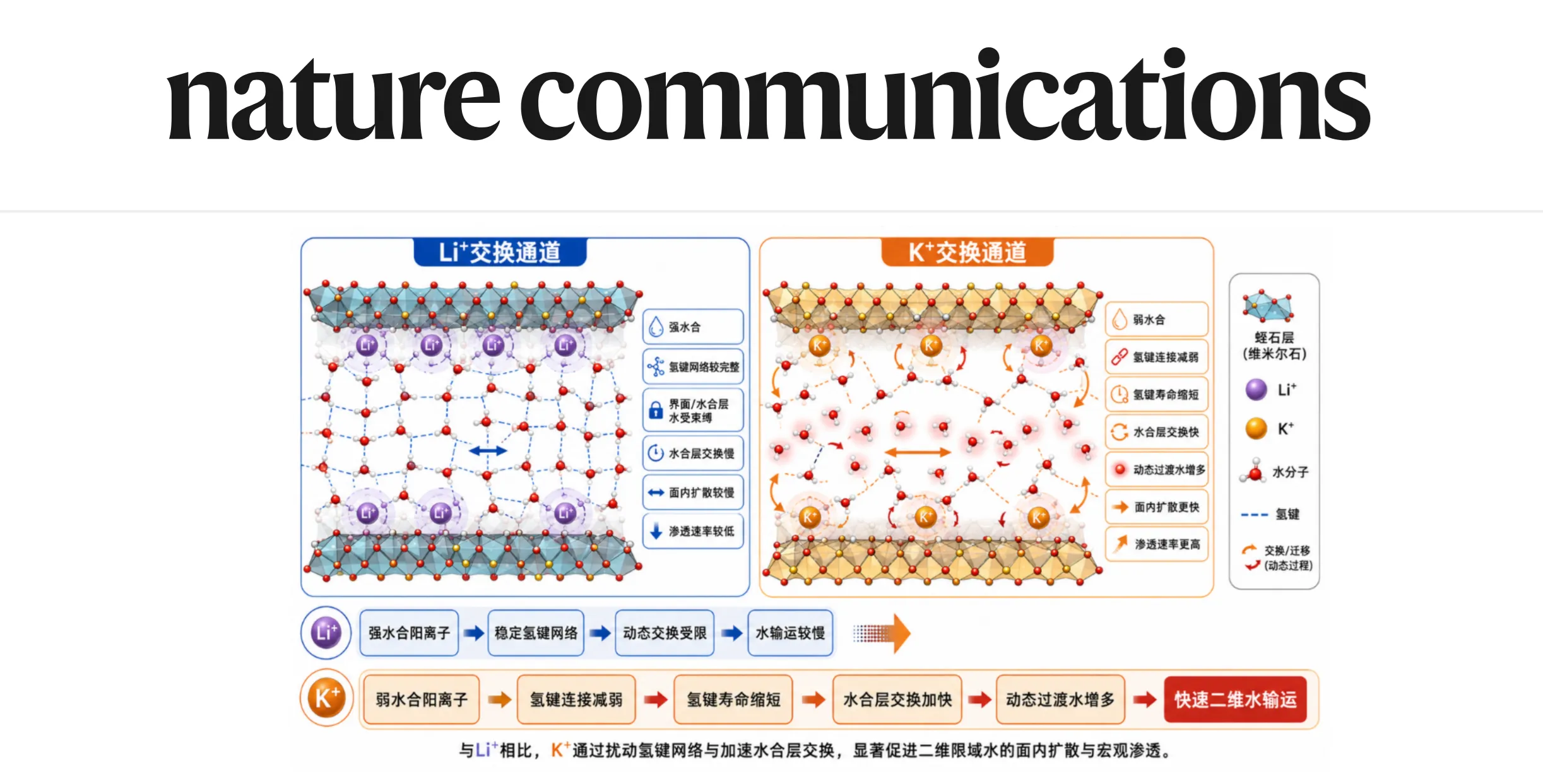 《Nat. Commun.》： 理论计算建立完整微观机制链条揭示二维限域水超快输运的微观机制